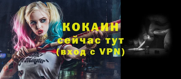 винт Лагань