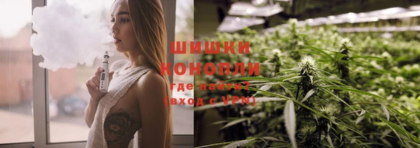 шишки Ладушкин