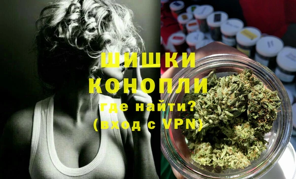 винт Лагань