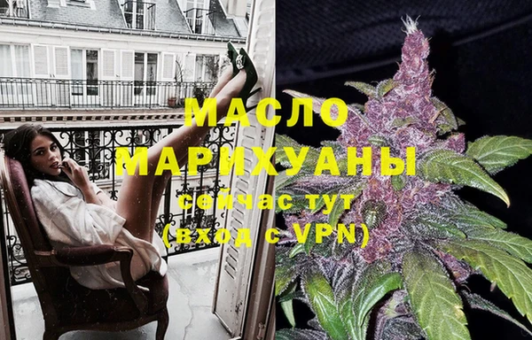 винт Лагань