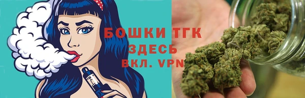 винт Лагань