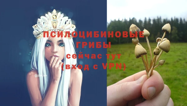 эйфоретик Лабытнанги