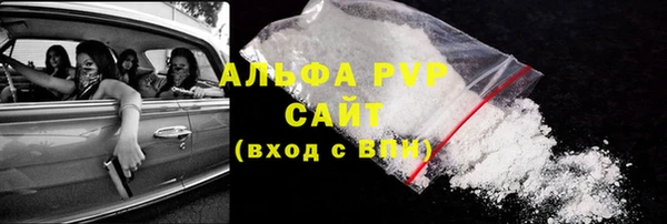винт Лагань