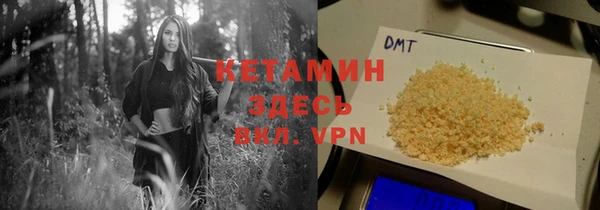 шишки Ладушкин