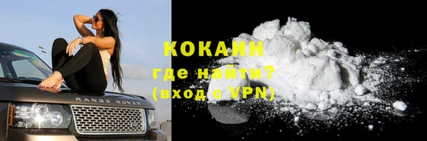 винт Лагань