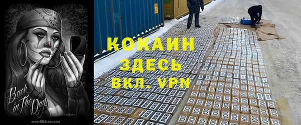 винт Лагань