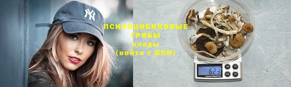 эйфоретик Лабытнанги