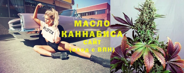 винт Лагань