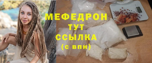 винт Лагань