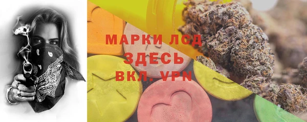 шишки Ладушкин