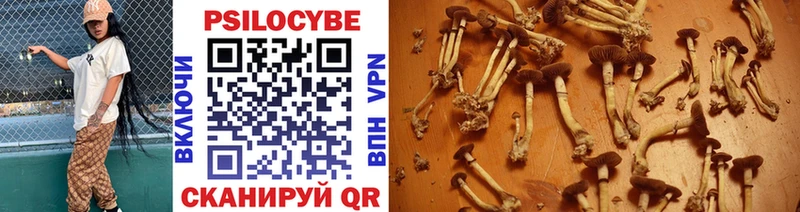 Галлюциногенные грибы Psilocybe Прокопьевск