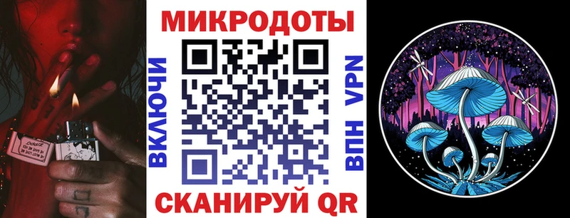Купить  Прокопьевск  Галлюциногенные грибы Psilocybine cubensis 