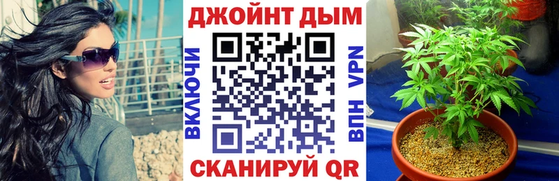 Купить где  Прокопьевск  Канабис гибрид 